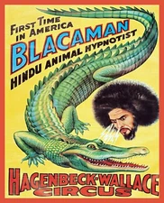 Decoration Poster.Home room art.Interior design.Blackaman.Circus.Hypnotism.7373