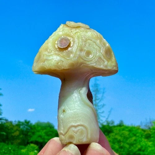 46G Natural Gobi Agate Hand-carved Mushroom Crystal Mineral Healing Madagascar