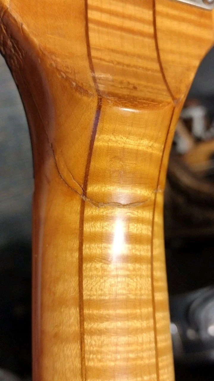 Picture 6 of 6