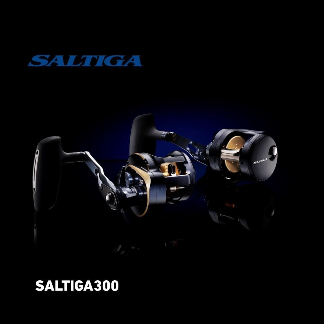 ダイワ　25 SALTIGA 300HL Daiwa 25 Saltiga 300 (Right handle)