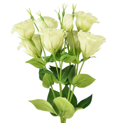 Kunstblumen Eustoma Lisianthus Gelb Grün 52cm 5 St - Dekoration, Japanrose,