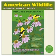 Wildlife Mini Wall Calendar 2026 7 x 7