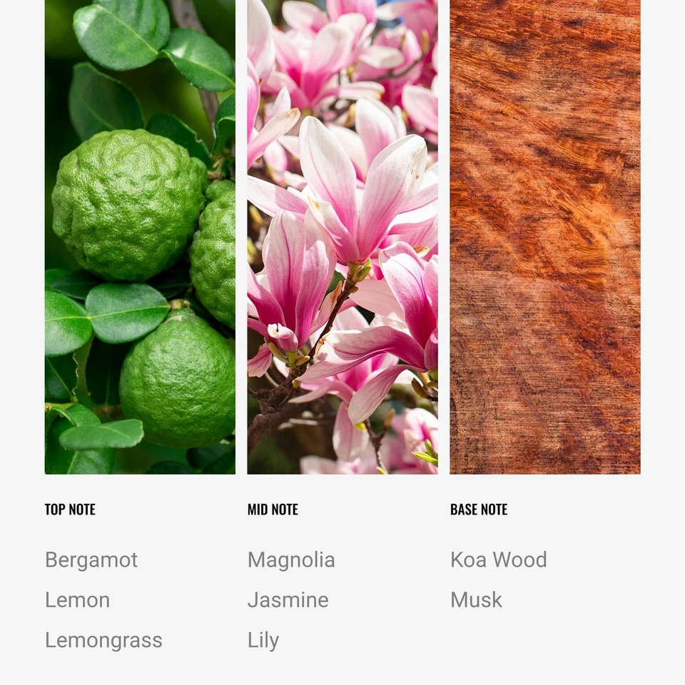 Hotel Collection - 24K Magic - Reed Diffuser Set - Luxury Aromatherapy - Lemo... - Image 4 of 4