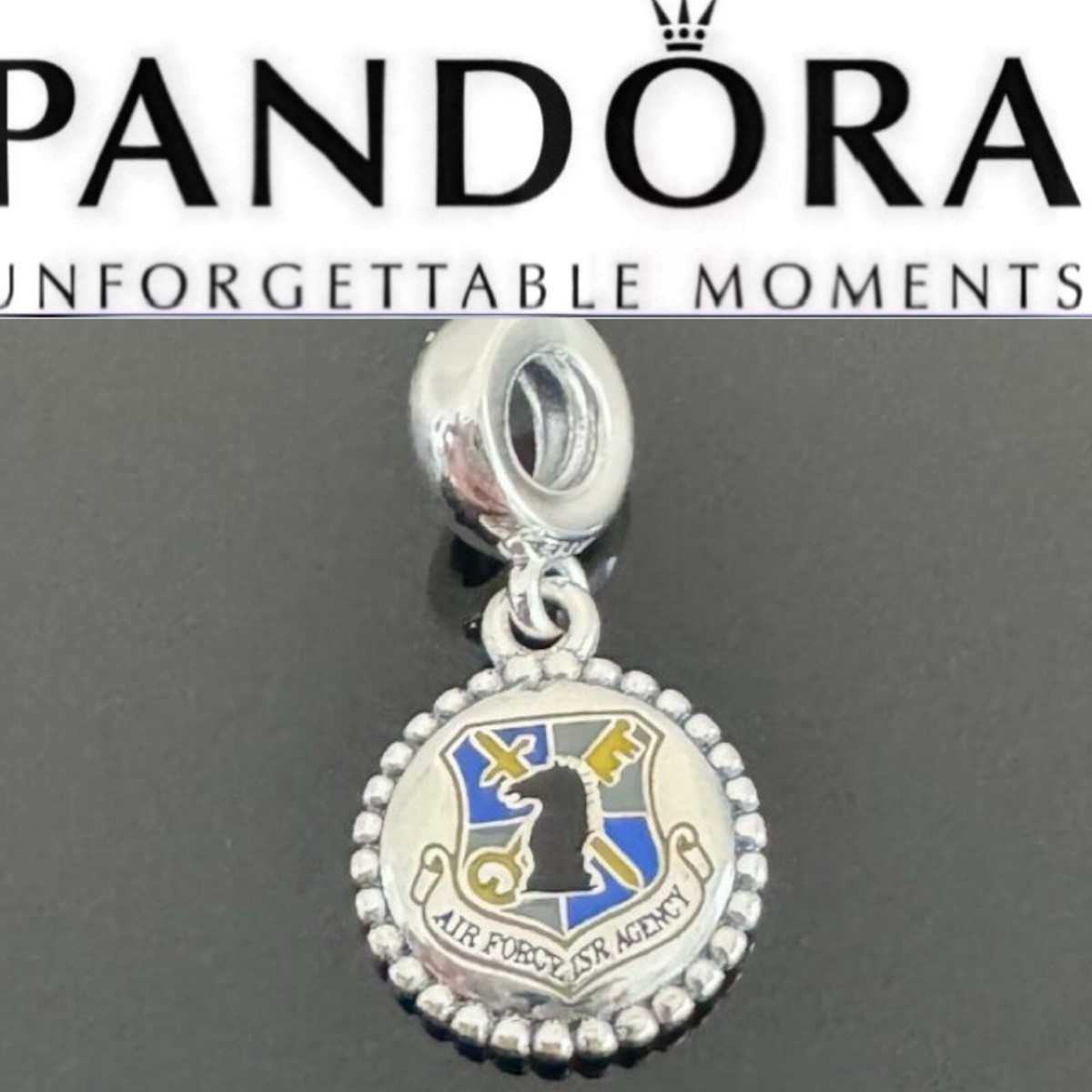 Rare Pandora Airforce Military Crest Exclusive Moments Dangle