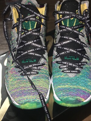 lebron 17 i promise shoes