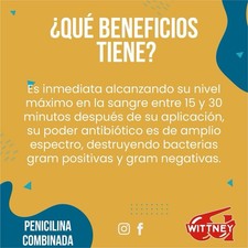 Wittney 10ML Liquid Penicilina In Glass Bottle, For Poultry