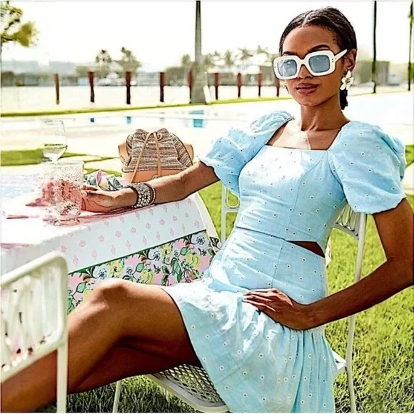 kylanne elbow sleeve linen dress NWT $248 Lilly Pulitzer Kylanne Elbow Sleeve Embroidered Linen Mini Dress 4