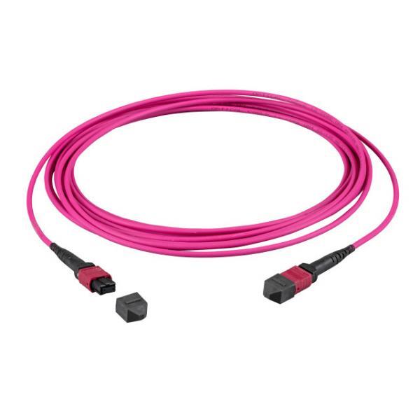 3161869 EFB Elektronik EFB-Elektronik MTP¬-F/MTP¬-F 12-Fasermatrix Patchkabel OM