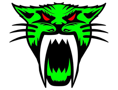 Arctic Cat snowmobiles Vinyl Sticker Decal XV