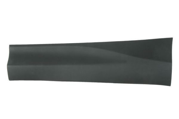Left Front BLIC 5703-06-8178577P Trim/Protection Strip, door for TOYOTA