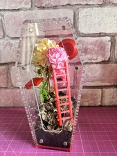 Jumping Spider Pink Glitter Coffin Enclosure Terrarium with accessories 