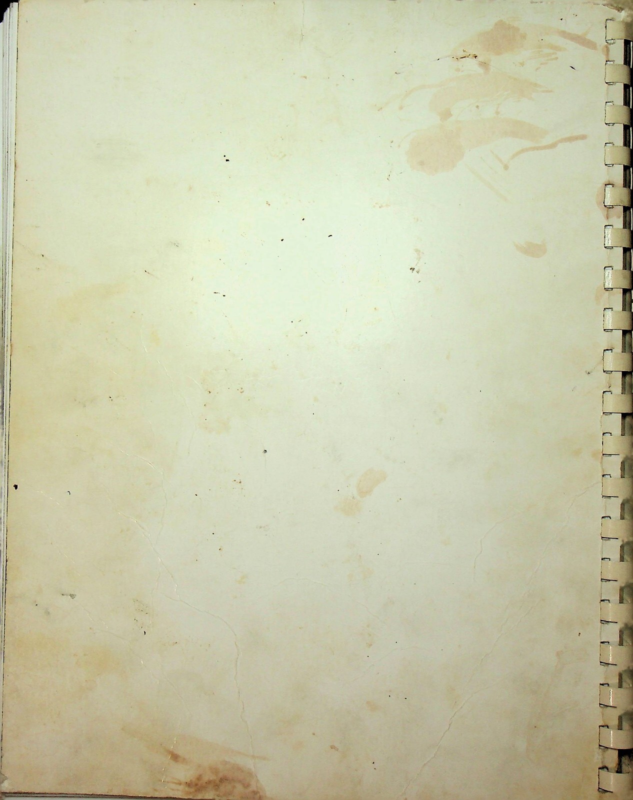 Picture 7 of 7