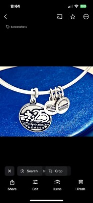 ALEX AND ANI Bracelet Disney Vacation Club 25th Anniversary Silver Bangle LE