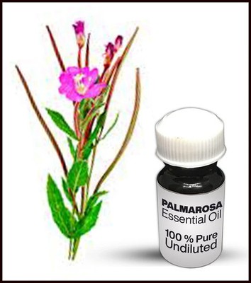 Palma Rosa Essential Oil 100% Pure Undiluted Essential Oil Premium Quality