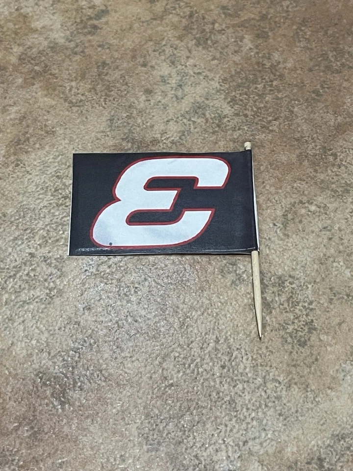 2007 Jeff Gordon 76th Phoenix Win Ties Earnhardt NASCAR Flag Display 1:24 NO CAR - Image 4 of 4