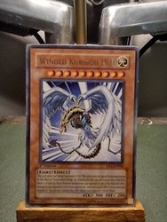 Winged Kuriboh LV10 - Duelist Pack 1: Jaden Yuki - 1st Edition Rare