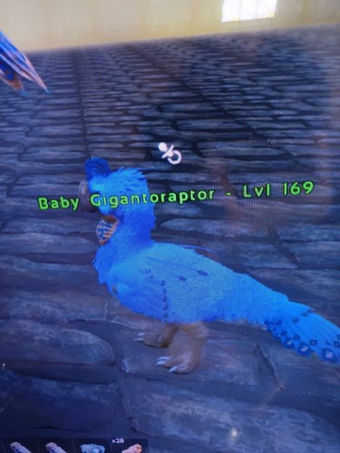 Gigantoraptor Spawn Command In ARK Survival Ascended - GINX TV