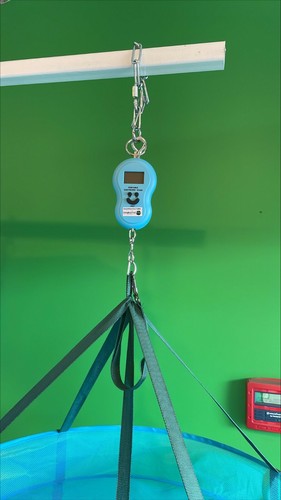 2ft Dry rack, Herb Drying Rack, grow room Net dryer Herb rack, SCALE INCLUDED - Picture 9 of 16