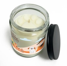 Becky Home 9oz Pet Odor Eliminator Deodorizer Candle, Long-Lasting Clear