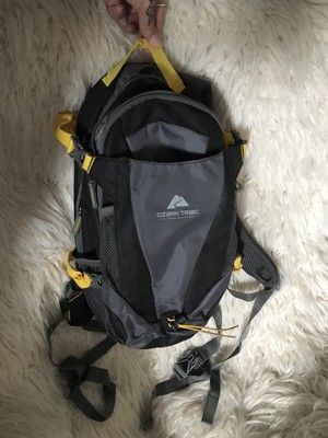 ozark trail larimore backpack