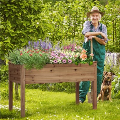 Raised Garden Bed Elevated Wood Planter Box Grow Plants Vegetables Flowers Herbs