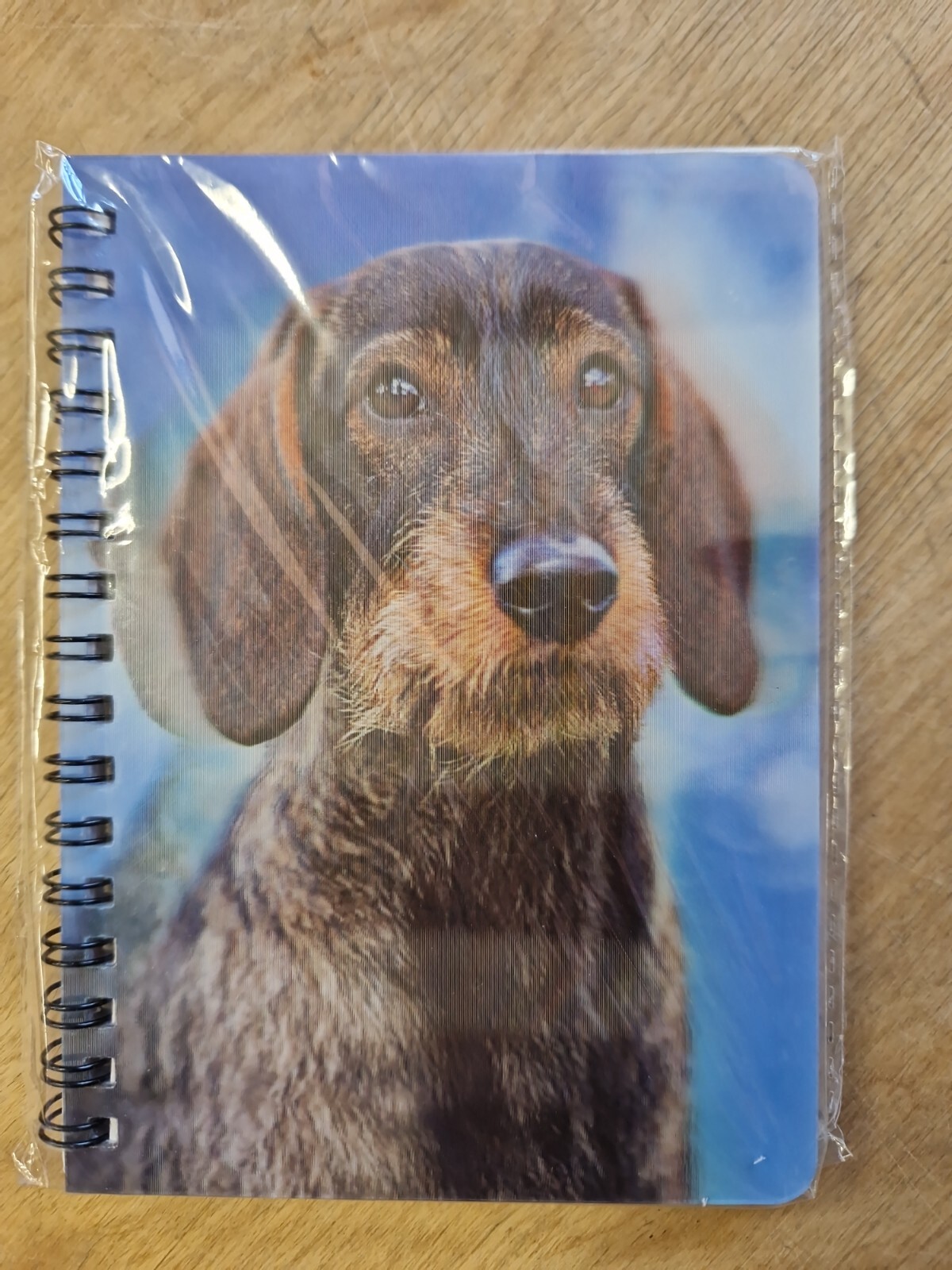 Wirehaired Dachshund notebook Rough Coated Dachshunds Notebooks Dog lined Dogs
