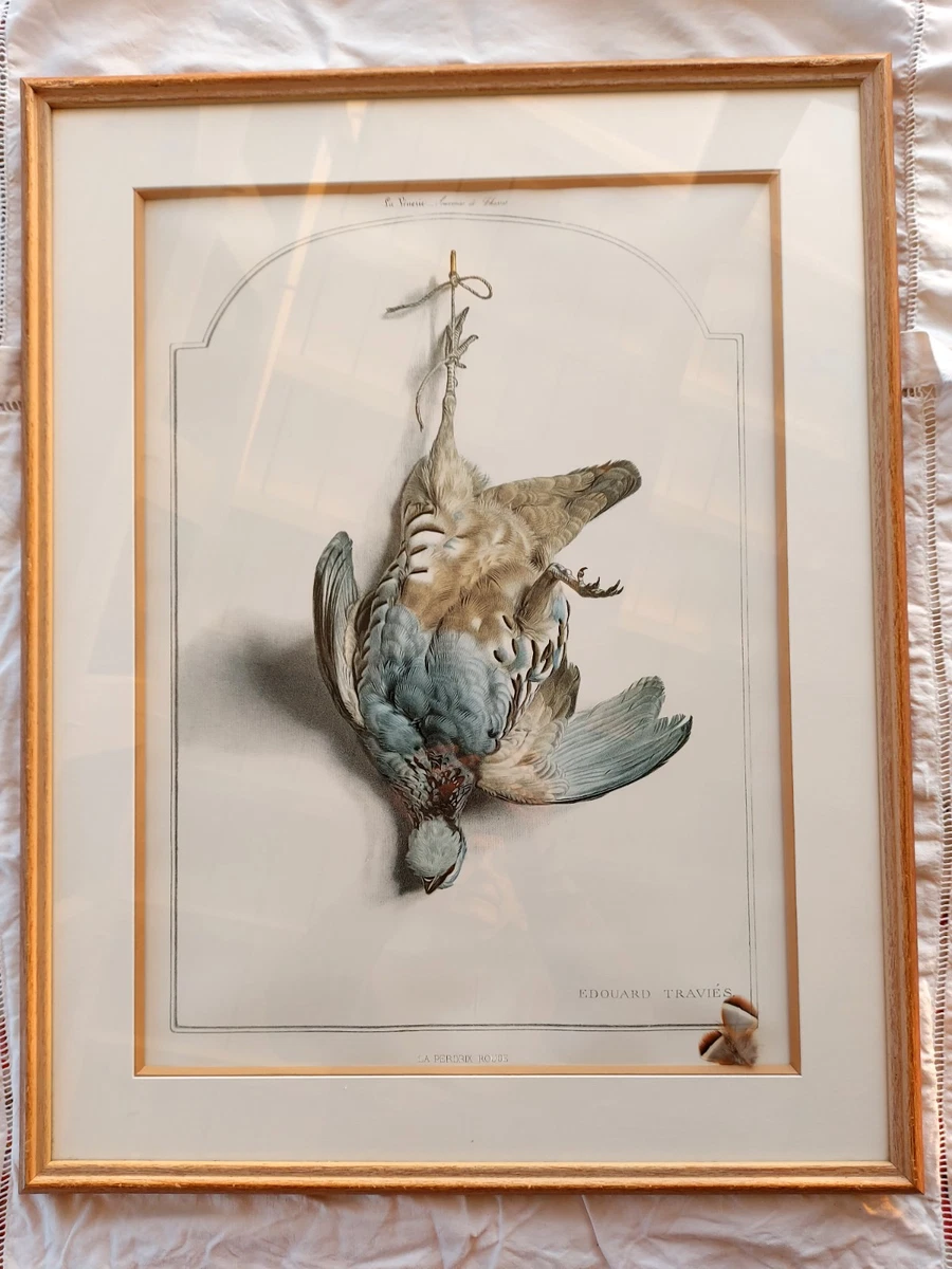 Livre Vintage 1852 - Fausses Perles & Plomb De Chasse - Gravures Lithographie SORRIEU - Édition Originale