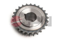 JPN Zahnrad Einspritzpumpe 60R0519-JPN FüR Hyundai Santa FÉ 2 CM Ix35 LM EL ELH