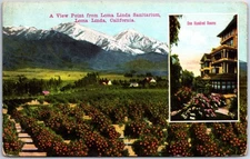 VINTAGE POSTCARD VIEW OF ORANGE GROVE AND MOUNTAINS FROM LOMA LINDA SANITORIUM