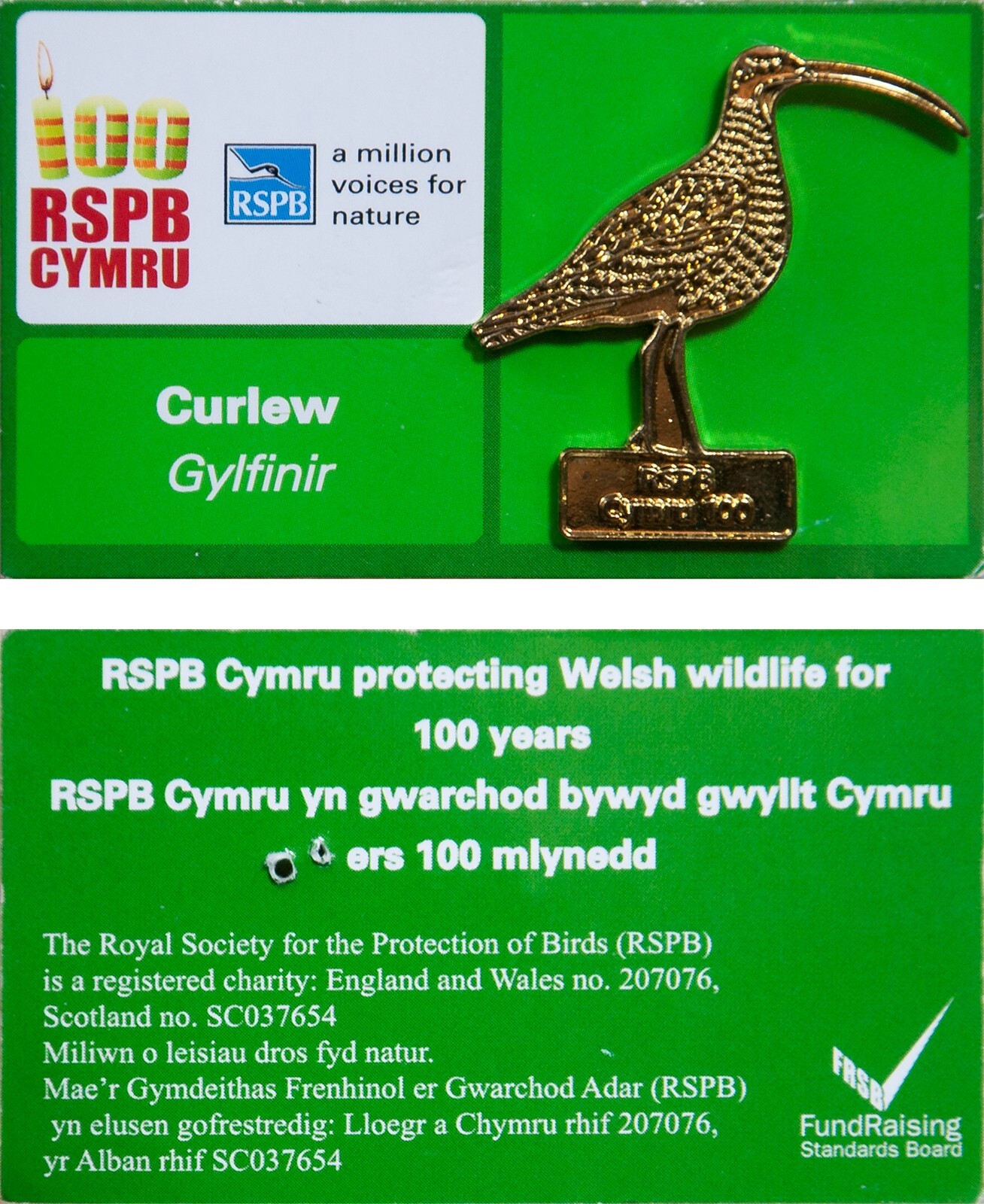 RSPB Pin Badge Special 100 RSPB Cymru Curlew P00837 eBay