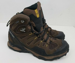 hedgehog hike gtx