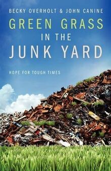 Green Grass in the Junk Yard von Overholt, Becky | Buch | Zustand sehr gut