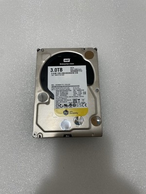 Western Digital WD3000FYYZ 3 TB Hard Disk Drive 