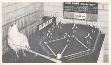 Chicken Baseball Advertising Postcard Del Mar, CA San Diego County Fair 1950  Z8
