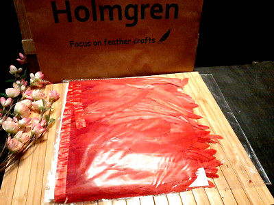 Holmgren Red Rooster Feather Trim  10-12inch 2 Yards Natural Rooster  Feathers