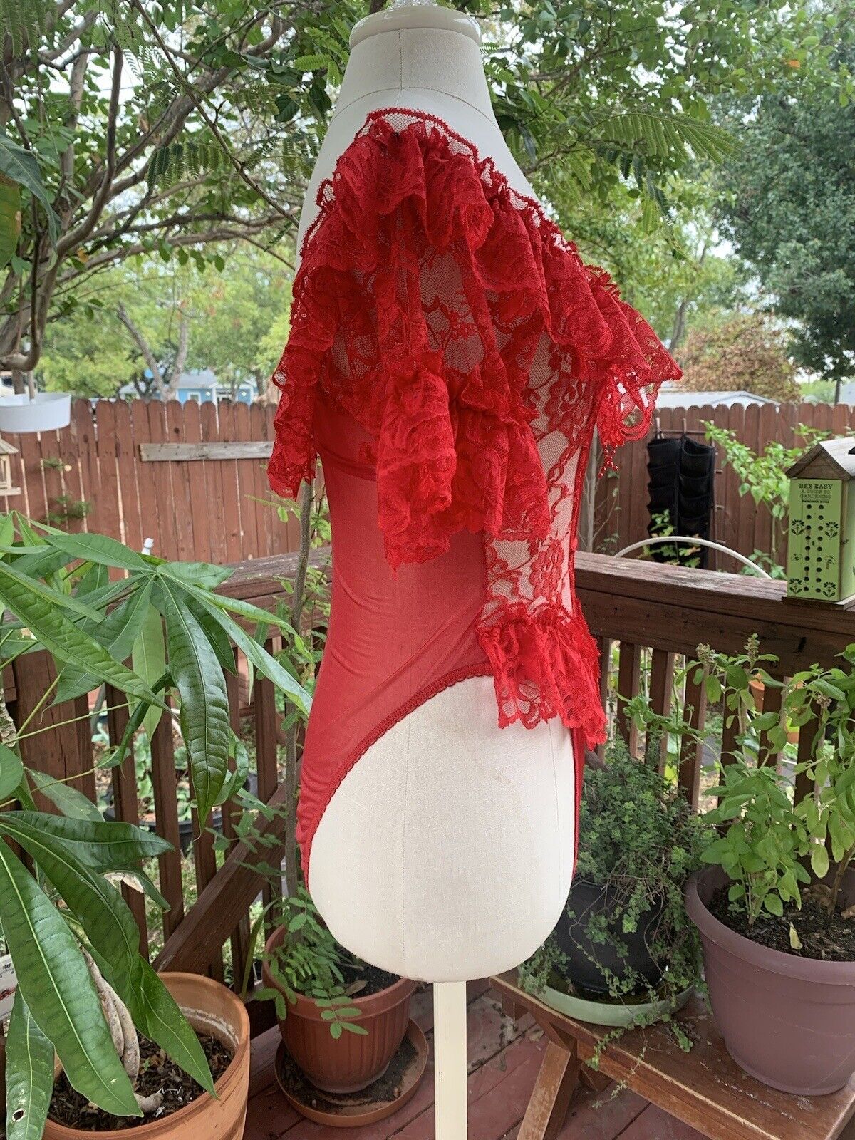 Picture 6 of 12