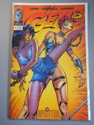 Gen 13 Nr.3 Splitter
