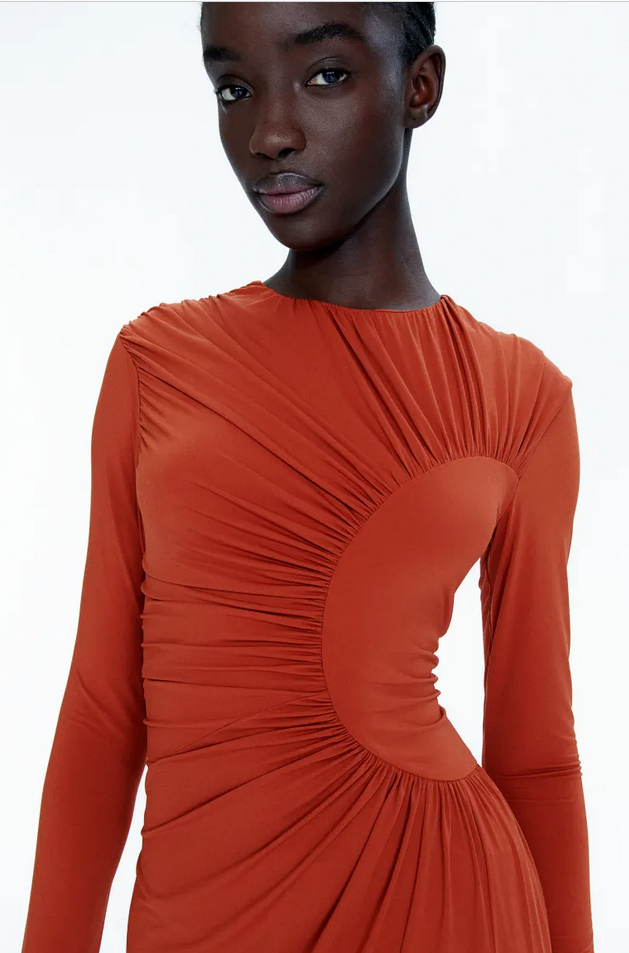 Bodycon Dress Ginger By Lifestyle Dresses H&M Studio Collection Gathered Bodycon Dress (Burnt Orange) Bodycon Dress Ginger By Lifestyle Dresses H&M Studio Collection Gathered Bodycon Dress (Burnt Orange)