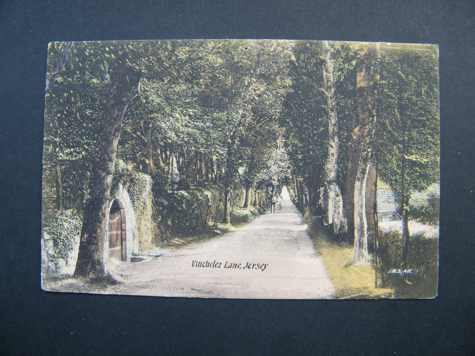 FILA Early Rowe's Cash Stationers Postcard of Vinchelez Lane Jersey. Posted 1908.