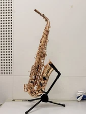 Yanagisawa A-992PGP Alto Saxophone, Bronze with Pink Gold Finish