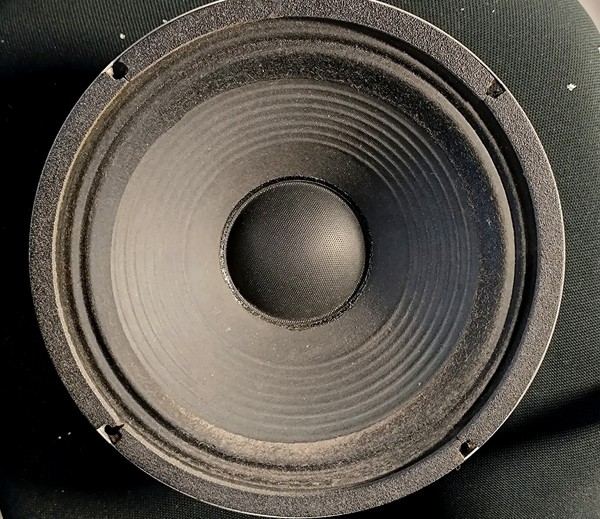 Celestion G12 T75