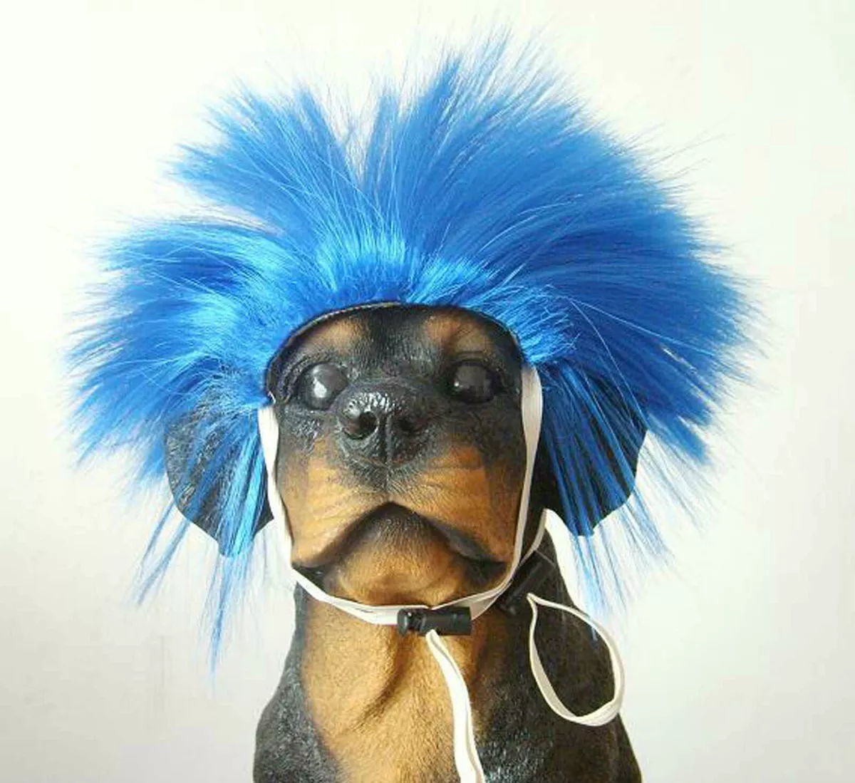Toupee clearance for dogs