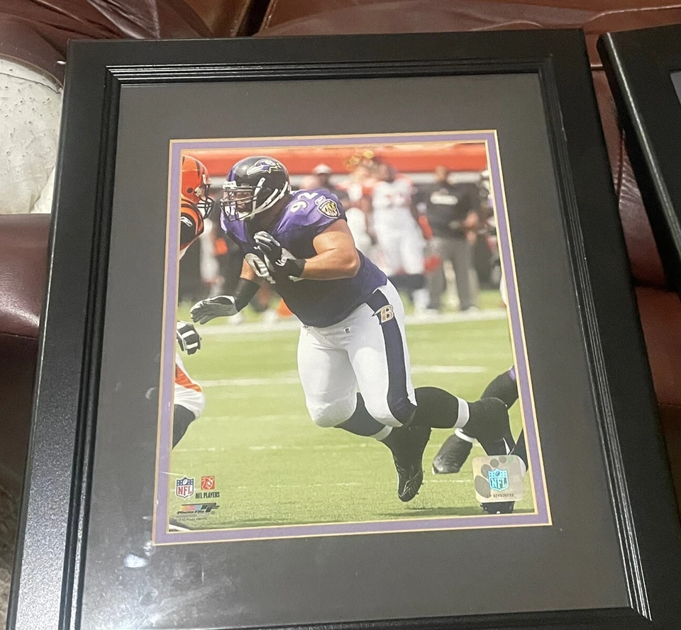 Foto fosca emoldurada Haloti Ngata Baltimore Ravens - Imagem 3 de 3