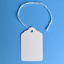 1000 Marking Tags with String Attached - 2 1/4 x1 7/16 , Blank White Tags wi...