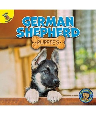 German Shepherd Puppies, Scragg