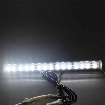 License Plate Light LED Light Bulbs for Universal for sale