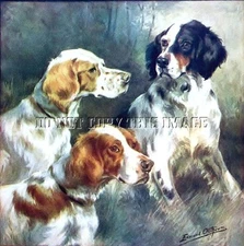 ANTIQUE HUNTING 8X10 OSTHAUS PHOTOGRAH PRINT 3 ENGLISH SETTERS #2