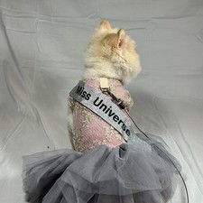 DogCat Princess Dress w Tulle Skirt & Harness Leash Ring Pet Outfit Small/Medium
