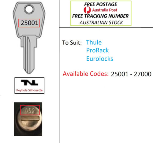 Key Cut to Code - Rhino Pipe Tube 25001-27000 Spare/Replacement/Lost Keys - Afbeelding 1 van 1