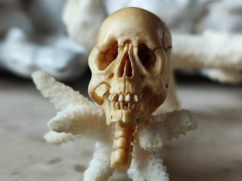 Memento mori Skull with cervical spine for necklace pendant Japanese netsuke - Imagen 6 de 24